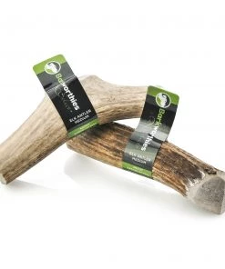 Barkworthies Dog Elk Antler Medium American Sourced