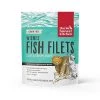 Dog The Honest Kitchen Wishes Fish Filets 3oz