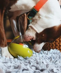 Pet PLAY PLAY Wobble Ball Green Dog