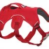 Ruffwear Web Master Harness Red Currant Dog