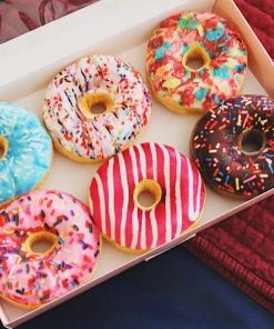 Fabdog Box Of Donuts Dog Toy