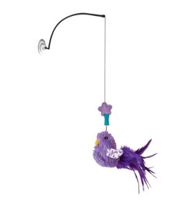 Kong Connects Window Teaser