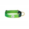 Dog + Bone Martingale Collar Greenery & Forest