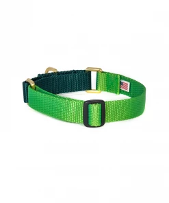 Dog + Bone Martingale Collar Greenery & Forest