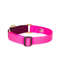 Dog + Bone Martingale Collar Hot Pink & Purple