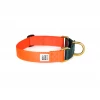 Dog + Bone Dog + Collar Martingale Collar Orange & Forest