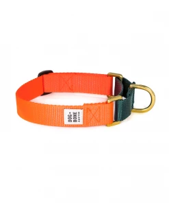 Dog + Bone Dog + Collar Martingale Collar Orange & Forest