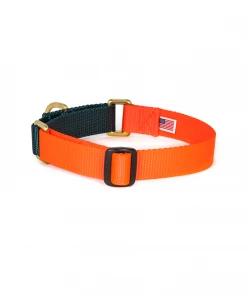 Dog + Bone Dog + Collar Martingale Collar Orange & Forest