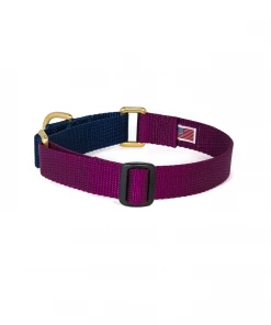 Dog + Bone Martingale Collar Purple & Navy