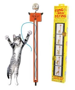 Moody Pet FLING-AMA-STRING Cat