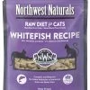Frozen & Raw Food Northwest Naturals Cat Whitefish Recipe 2lb