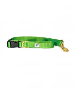 Dog + Bone Adjustable Leash Greenery