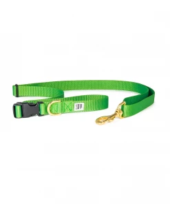 Dog + Bone Adjustable Leash Greenery