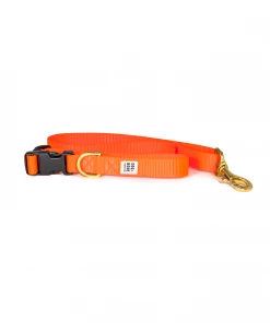 Dog + Bone Adjustable Leash Orange