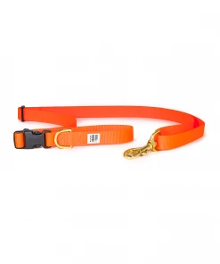 Dog + Bone Adjustable Leash Orange