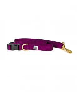 Dog + Bone Adjustable Leash Purple