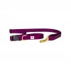 Dog + Bone Adjustable Leash Purple