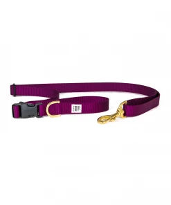 Dog + Bone Adjustable Leash Purple