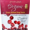 Grandma Lucy's Grandma Lucys Baked Cranberry Dog Treats