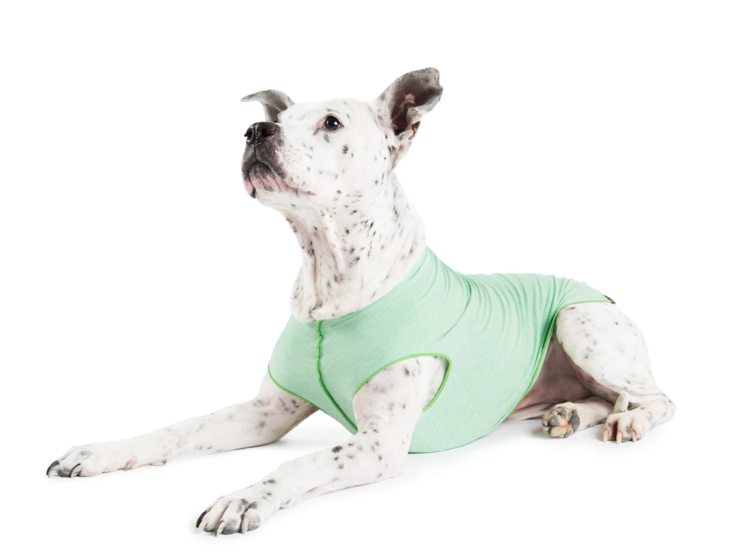 Furly's Pet Supply Dog Sun Shield Tee Violet 6 Furly's Pet Supply Dog Sun Shield Tee Violet