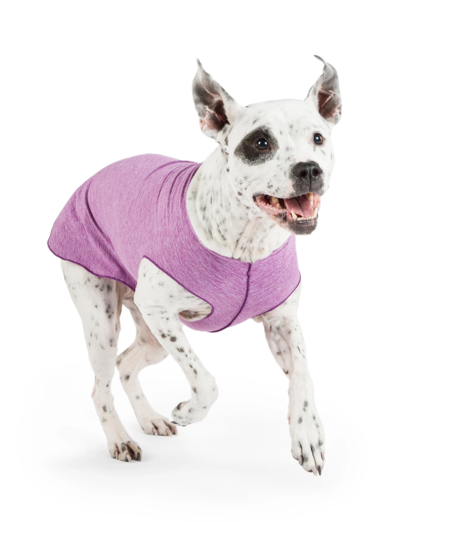 Furly's Pet Supply Dog Sun Shield Tee Violet 3 Furly's Pet Supply Dog Sun Shield Tee Violet