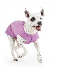 Furly's Pet Supply Sun Shield Tee Pistachio