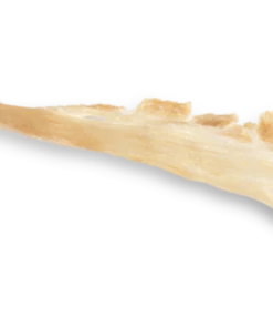 Superior Farms Single Turkey Tendon