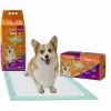 WizSmart Puppy Training Pee Pads 24" X 24" 30 Count