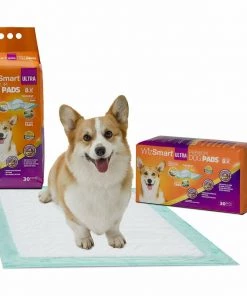 WizSmart Puppy Training Pee Pads 24" X 24" 30 Count