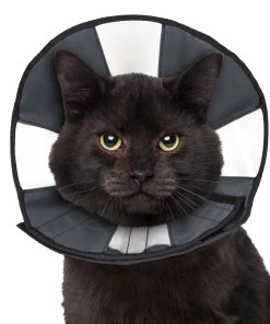 Health & Wellness ZenPet Zen Cone Soft Recovery Collar