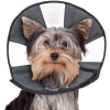 Health & Wellness ZenPet Zen Cone Soft Recovery Collar