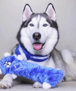 Zippy Paws Jigglerz Hanukkah Bear