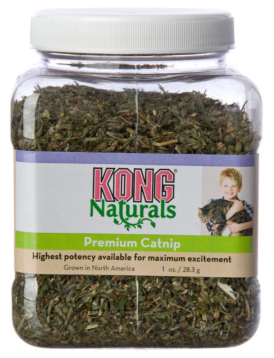 Furlys Store Kong Catnip Jar 3 Furlys Store Kong Catnip Jar
