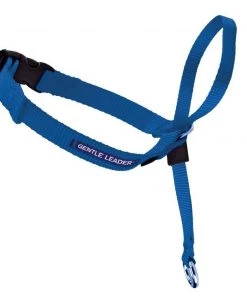 Furly's Pet Supply Premier Gentle Leader Blue Dog