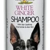 Furly's Pet Supply Bio-Groom Natural Scents White Ginger Scented Shampoo Dog