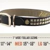 Furly's Pet Supply Dog Mutt Couture Black Leather Gold Stud Collar