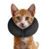 Furly's Pet Supply ZenPet Zen Collar Inflatable Recovery Collar