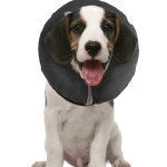 Furly's Pet Supply ZenPet Zen Collar Inflatable Recovery Collar 8 Furly's Pet Supply ZenPet Zen Collar Inflatable Recovery Collar