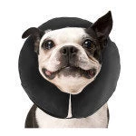 Furly's Pet Supply ZenPet Zen Collar Inflatable Recovery Collar 13 Furly's Pet Supply ZenPet Zen Collar Inflatable Recovery Collar