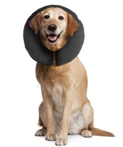 Furly's Pet Supply ZenPet Zen Collar Inflatable Recovery Collar 51 Furly's Pet Supply ZenPet Zen Collar Inflatable Recovery Collar