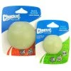 Furly's Pet Supply Chuckit Max Glow Ball Dog