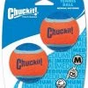 Furly's Pet Supply Chuckit Tennis Ball Medium 2 Pack Dog