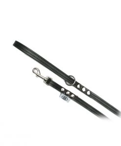 Buddy Belt Black Leash Premium Dog