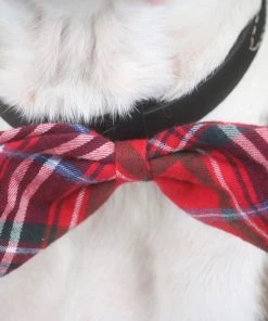 Worthy Dog Red Plaid Bow Tie
