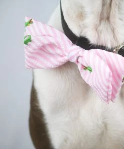 Worthy Dog Pink Stripe Alligator Bow Tie