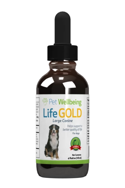 Pet Wellbeing Life Gold Tincture 4 Pet Wellbeing Life Gold Tincture