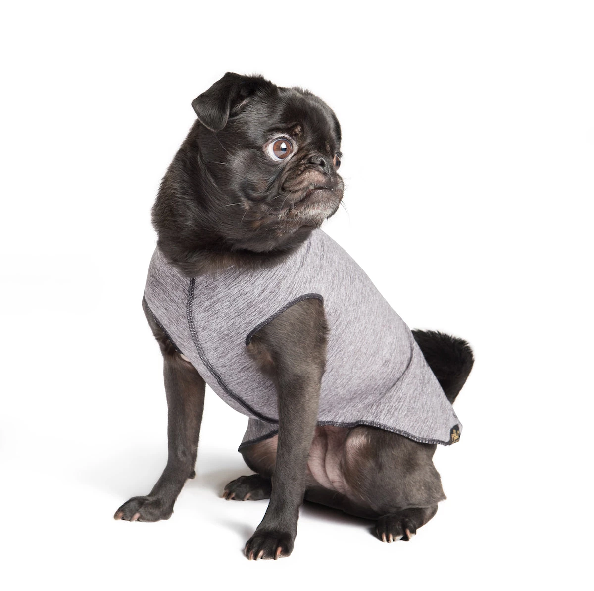 Furly's Pet Supply Dog Sun Shield Tee Violet 7 Furly's Pet Supply Dog Sun Shield Tee Violet