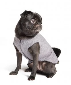 Furly's Pet Supply Sun Shield Tee Pistachio